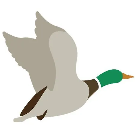 Le Col-vert 3* Lido di Dante