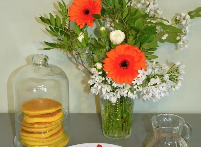 Couette-café Le Col-vert 3*